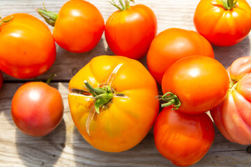 Ripe red, yellow and orange tomatoes. Collected in the garden. Harvest. Close-up. Place for an inscription.