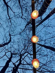 street lamp in the evening