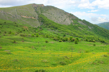 Naklejka premium Beautiful fields in the mountains. The village of Gryzdakhnya. Guba region. Azerbaijan.