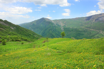 Beautiful fields in the mountains. The village of Gryzdakhnya. Guba region. Azerbaijan.