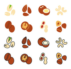 Nuts icon set. Vector linear flat color icons of nuts isolated on white. Almond cashew coffee hazelnut peanut pistachios walnut coconut collection. Modern design. Healthy food and vitamins