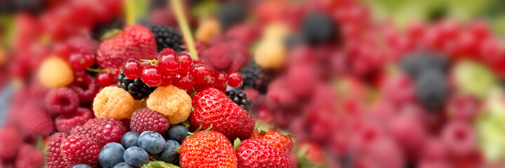Fresh summer berries assortment panorama. Healthy fruit food web banner