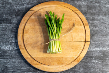 Bunch of freshly picked green leaves of wild garlic on a gray background, close-up. Healthy green leek or wild garlic leaves