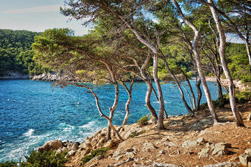 Calanque between Cassis and Marseille, France. Mediterranean landscape.