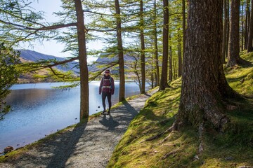 Obraz premium Woodland lakeside trail on western shore of Buttermere, English Lake District.
