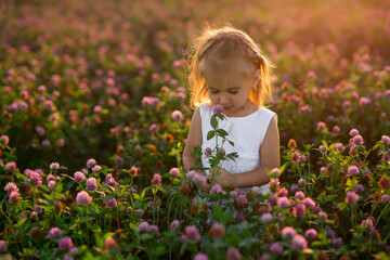 A little girl with a bouquet of flowers in a clover field is bitten by mosquitoes. A child in the rays at sunset. Insect bites.