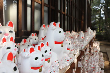 豪徳寺の招き猫