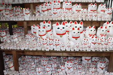 豪徳寺の招き猫