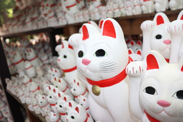 豪徳寺の招き猫