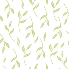 delicate pattern of coffee leaves. Decorative background, good for printing. Design background