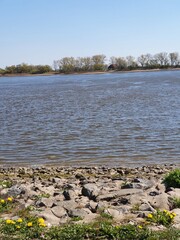 Weserlandschaft bei Oberhamelwarden