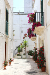 Fototapeta na wymiar Glimpse of an Italian town in Apulia region, southern Europe