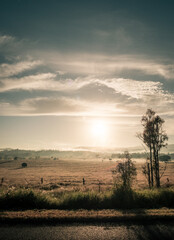 Early morning landscape 2