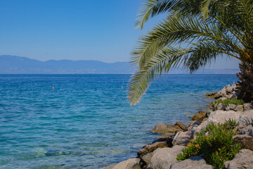 Fototapeta na wymiar Seascape with turquoise blue ocean and a green palm tree on some rocks.