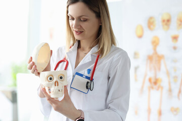 Female doctor in white coat is holding dummy of human skull