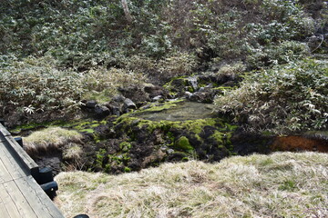 群馬の名所　中之条　チャツボミゴケ公園