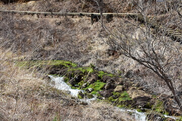 群馬の名所　中之条　チャツボミゴケ公園