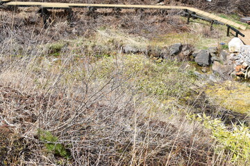 群馬の名所　群馬の名所　中之条　チャツボミゴケ公園