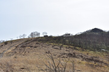 群馬の名所　中之条　野反りダム　初夏の風景