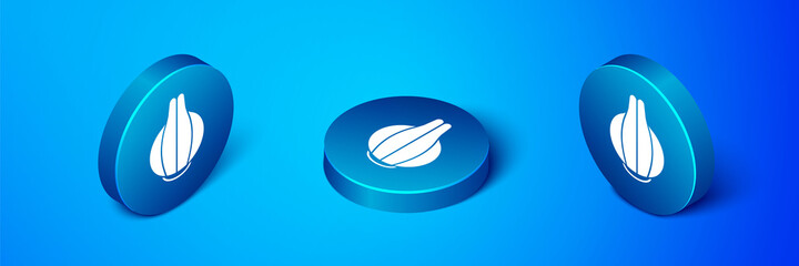 Isometric Onion icon isolated on blue background. Blue circle button. Vector