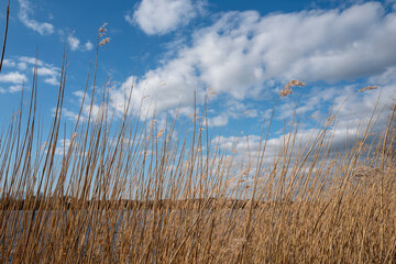 Fototapeta premium Urlaub in Deutschland