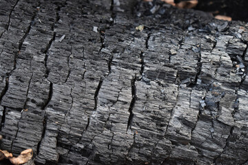 wood texture