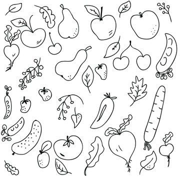 Vector pattern of cute ripe summer vegetables and fruits harvest

