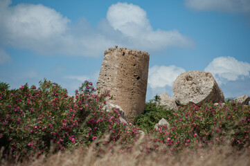 Naklejka premium Parco archeologico di seminante in sicilia