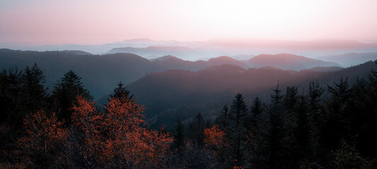 Amazing panorama of autumnal autumn fog landscape in black forest panorama banner long  in the morning, with colorful orange red leaves