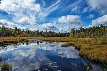 Cloud reflection in the lake