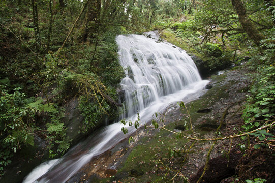 Natural waterfall in Mountain.this waterfall in kew mae pan at doi inthanon