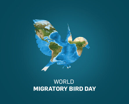 World Migratory Bird Day concept. 8th May World migratory bird day (WMBD). Bird isolated on world map.