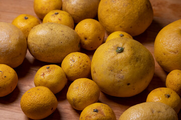 Mandarin orange みかん