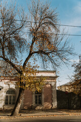 Restored facade of an old historic building