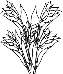 FLOWERS COLORING PAGE