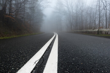 A lonely foggy asphalt road cutting through mystery forest