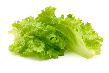 Lettuce Salad leaf, isolated on white background. High resolution image