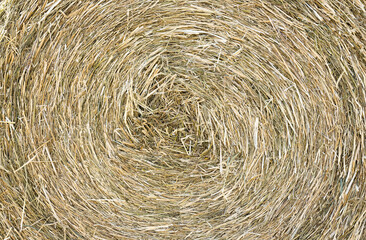 Texture of hay stack, closeup natural background