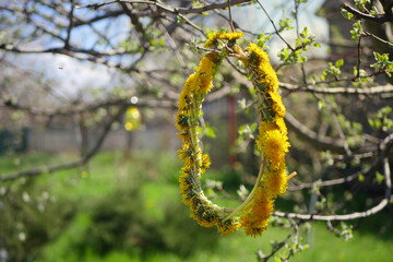 Yellow Dandelion wreath hanging on the tree. Spring season 