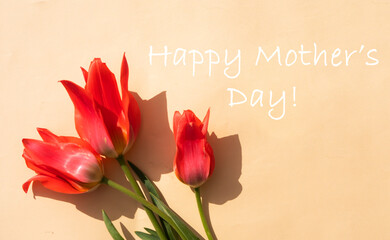 Pink tulips bouquet. Happy Mother's day banner. 