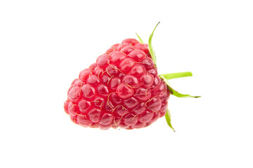 Fresh raspberry fruit isolated on white background. Single red raspberry
