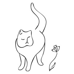 Vector line art cat illustration for prints.
