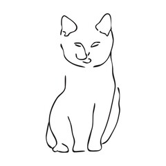 Vector cat illustration for prints.