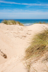 sandy dunes and view to atlantik ocean Portugal