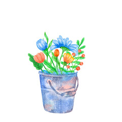 Watercolor flowers in metal bucket isolated on white. Hand drawn old vintage bucket.
