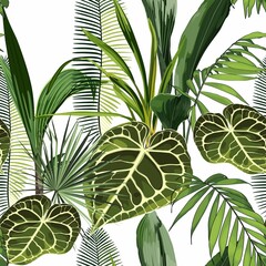 Floral seamless pattern, Alocasia plant, palm leaves on white background.