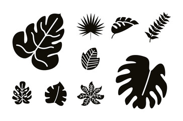 nine black botanical leafs