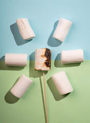 Marshmallows in the shape of a flower in the background. Minimal barbecue concept. Top view. Hard light.
