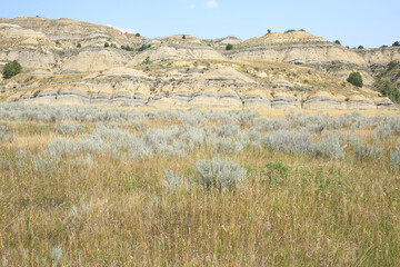 Theodore Roosevelt National Park in North Dakota, USA