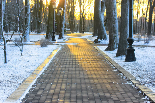 A paved stone path in the city public park among the bare trees in winter. - Powered by Adobe